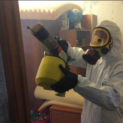 Уничтожение клопов в квартире. Облучье